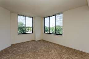 A room with two windows and carpeted floor.