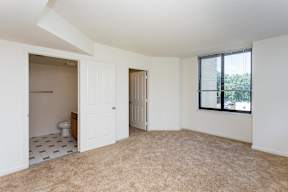 A room with a carpeted floor and a window with blinds.