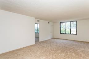 A large empty room with a carpeted floor and a window.