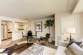 A living room with a couch, chairs, and a rug.