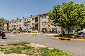 A large building with a green tree in front of it.
