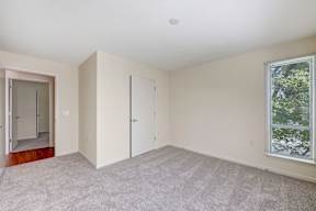 A room with a carpeted floor, two doors, and a window.