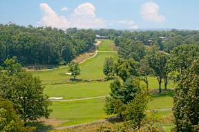 A golf course surrounded by trees at Dominion Towers Apartments, Arlington