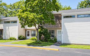 A tree in front of a house with a white garage door.