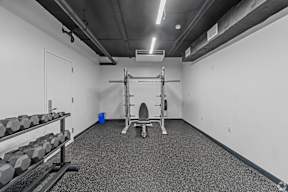 A gym with a bench, weights, and a squat rack.