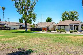 A row of houses with a tree in front of them.