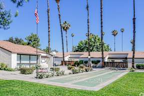 A flag is flying in front of a building with palm trees.
