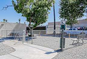 A park with a fence, bench, and trees.
