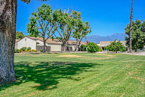 A large grassy field with trees and houses in the background.