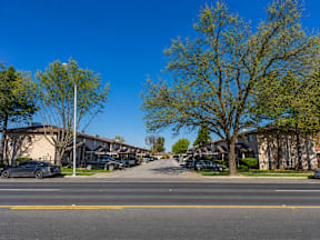 A tree with green leaves stands in front of a building.