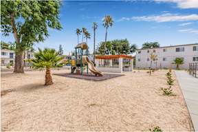 A playground with a slide and a palm tree.