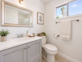 A bathroom with a white toilet, a sink with a mirror above it, and a window showing a tree outside.