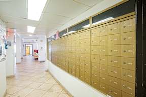 A long hallway with a wall of mailboxes on the right.