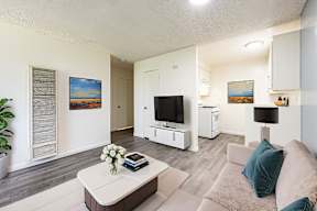 A living room with a couch, a coffee table, and a television.