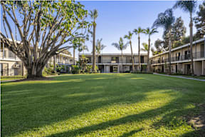 Grassy Courtyard at University Park, Azusa, CA