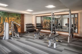 a gym with weights and cardio equipment in a room with a mural on the wall