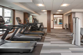 a row of treadmills in a fitness center with a large row of windows