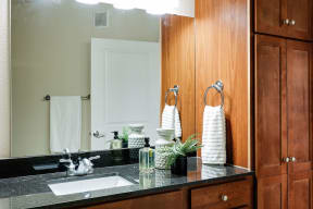 a bathroom with a sink and a large mirror