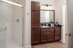 a bathroom with a sink and a mirror and a shower