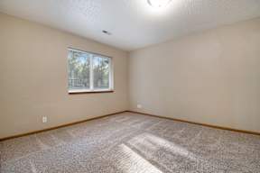 A room with a carpeted floor and a window.
