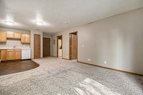 A spacious room with a kitchen area and a carpeted floor.