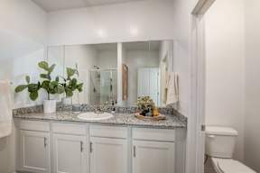 A bathroom with a white toilet and a counter with a plant on it.