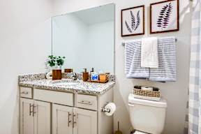 A bathroom with a white toilet, a sink with a mirror above it, and two framed leaves on the wall.