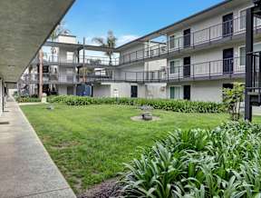 A view of a grassy area in front of apartment buildings.