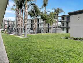A grassy area in front of a building with palm trees.