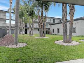 Palm trees in front of apartment buildings.