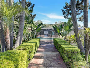 A pathway leads to a gate surrounded by green hedges and palm trees.