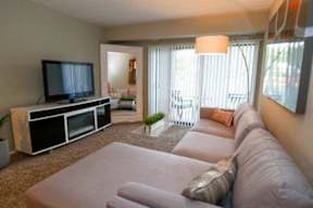 Spacious Living Room in 1-Bedroom Apartment Home
