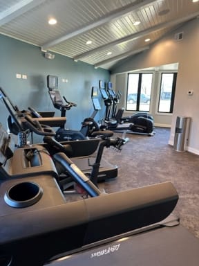 New Cardio Equipment, Including Peloton, With Bluetooth  Connectivity to Phone or Built In TVs