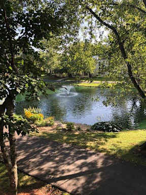 Beautiful Landscaping With Ponds & Fountains