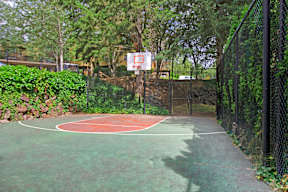 Taluswood Apartments Ourdoor Basketball Courts | Apartments In Mountlake Terrace, WA | Taluswood Apartments