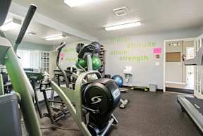 A gym with a green wall and a row of exercise bikes.