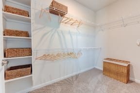 Walk-In Closets in 78747 at Three Hills Apartments