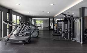 A gym with treadmills, elliptical machines, and other exercise equipment.