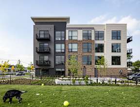 A dog is playing with a yellow ball in the grass in front of a modern apartment building.
