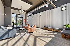 A living room with a grey couch and a wooden floor.