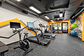 A gym with treadmills, exercise balls, and a monitor.