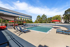 A pool with sun loungers and a building in the background.