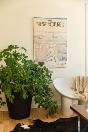 a bathroom with a white bathtub next to a potted plant