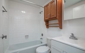 a bathroom with a sink toilet and a bath tub