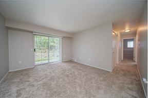 a living room with carpet and a sliding glass door
