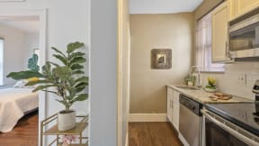 a kitchen with a sink and a stove and a potted plant