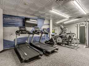 A gym with treadmills and exercise equipment.