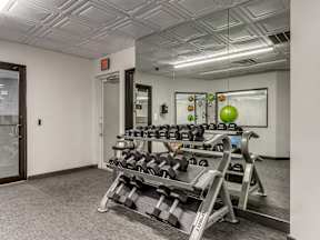 A gym room with a mirror, weights, and a green ball.