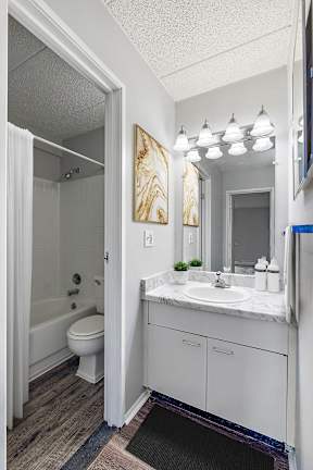 A bathroom with a white toilet and sink.