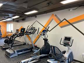 A gym with treadmills, elliptical machines, and a stationary bike.